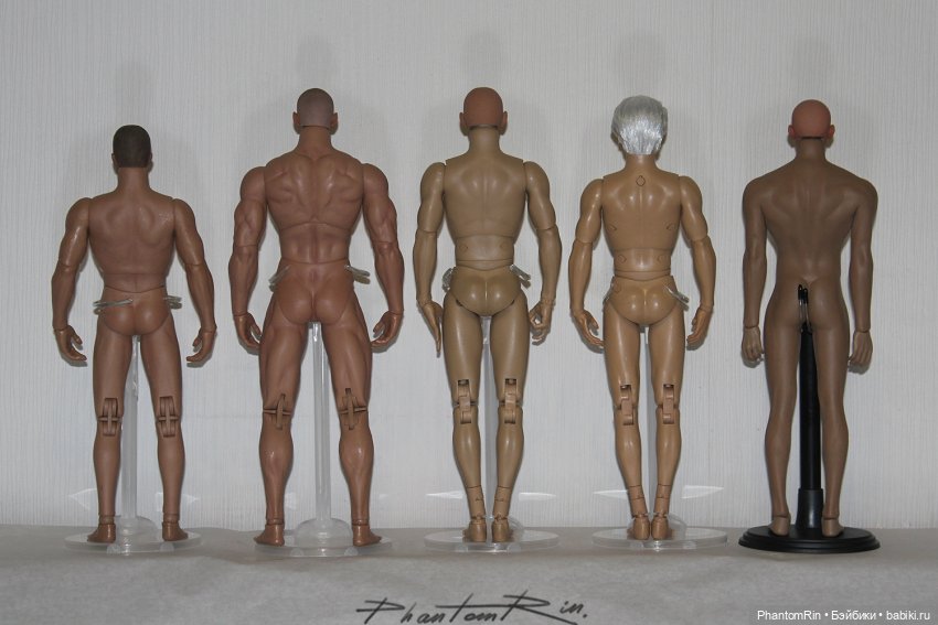 Сравнение мужских телоидов Coomodel, WorldBox, Phicen (фото 8)