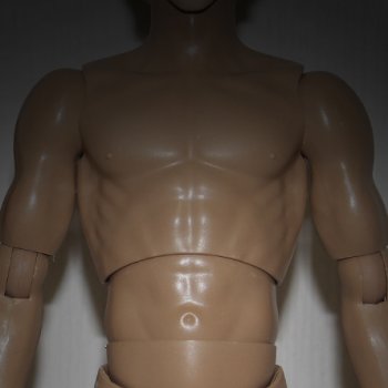 Сравнение мужских телоидов Coomodel, WorldBox, Phicen