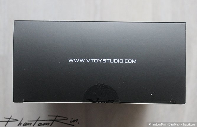 VToys x BMS x Crazy Figure - Cyberpunk Samurai Taki (1/12)