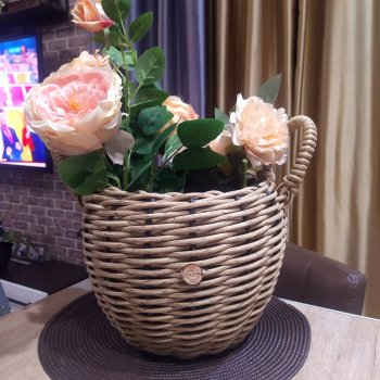 Ещё одно увлечение