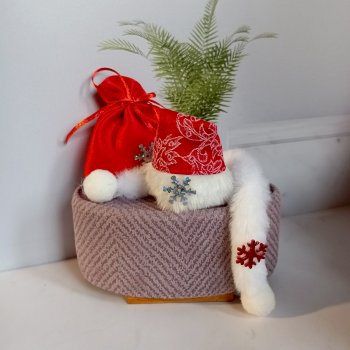 У каждого свой Дед Мороз