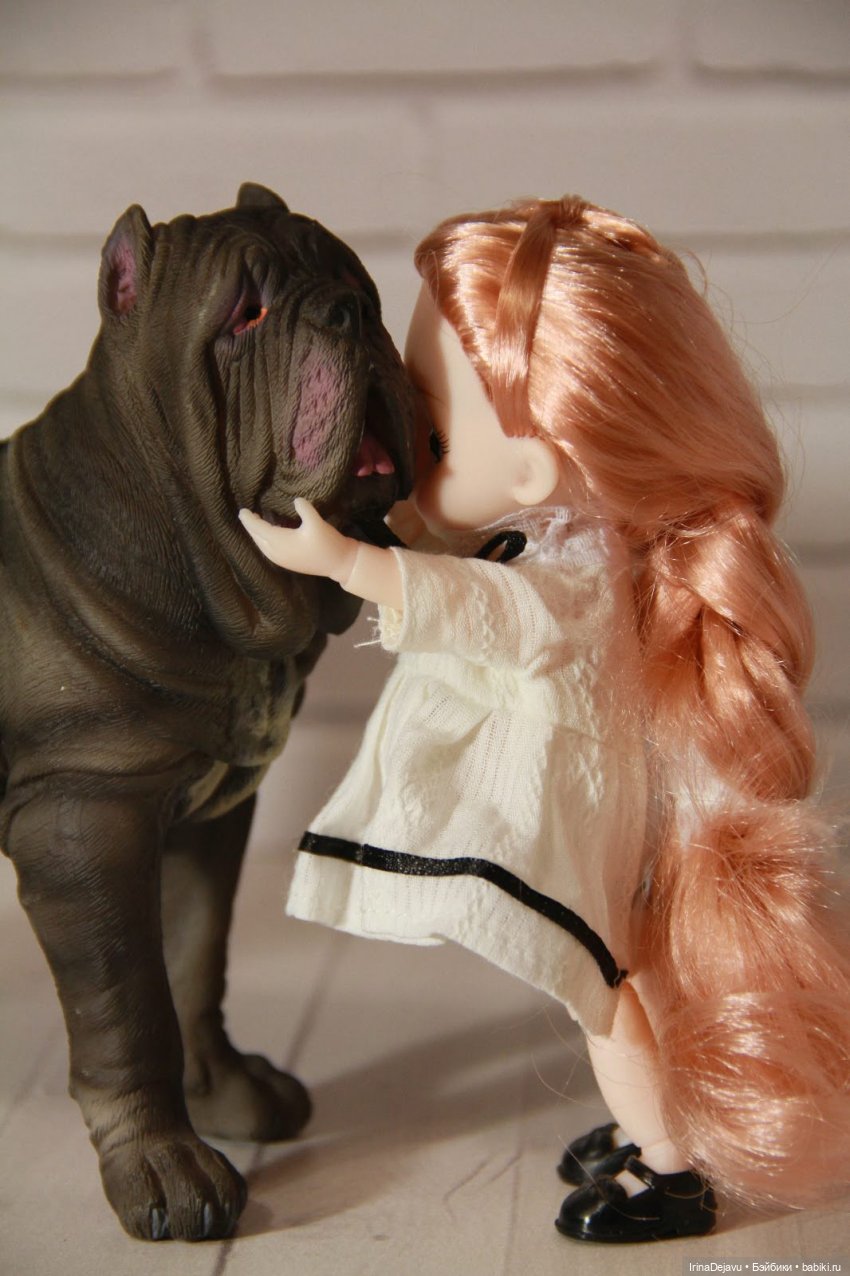 Питомцы. Или кто кого выбирает