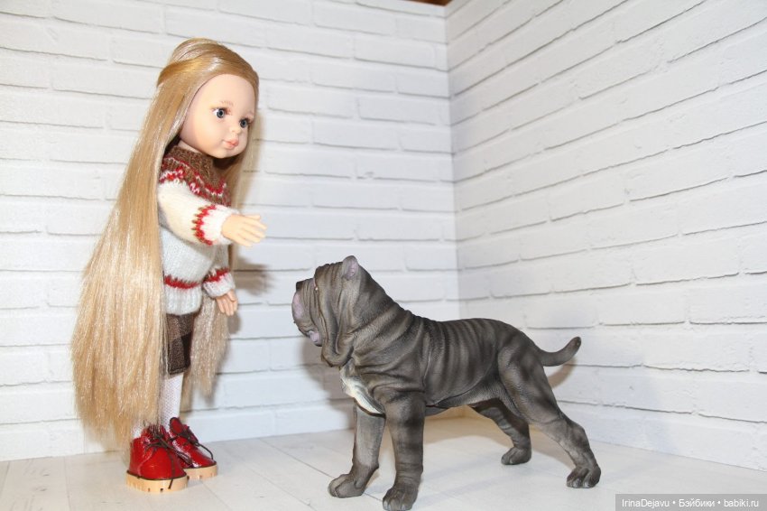 Питомцы. Или кто кого выбирает