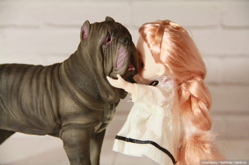 Питомцы. Или кто кого выбирает