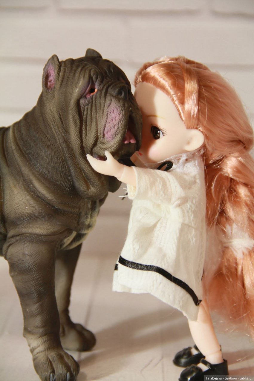 Питомцы. Или кто кого выбирает