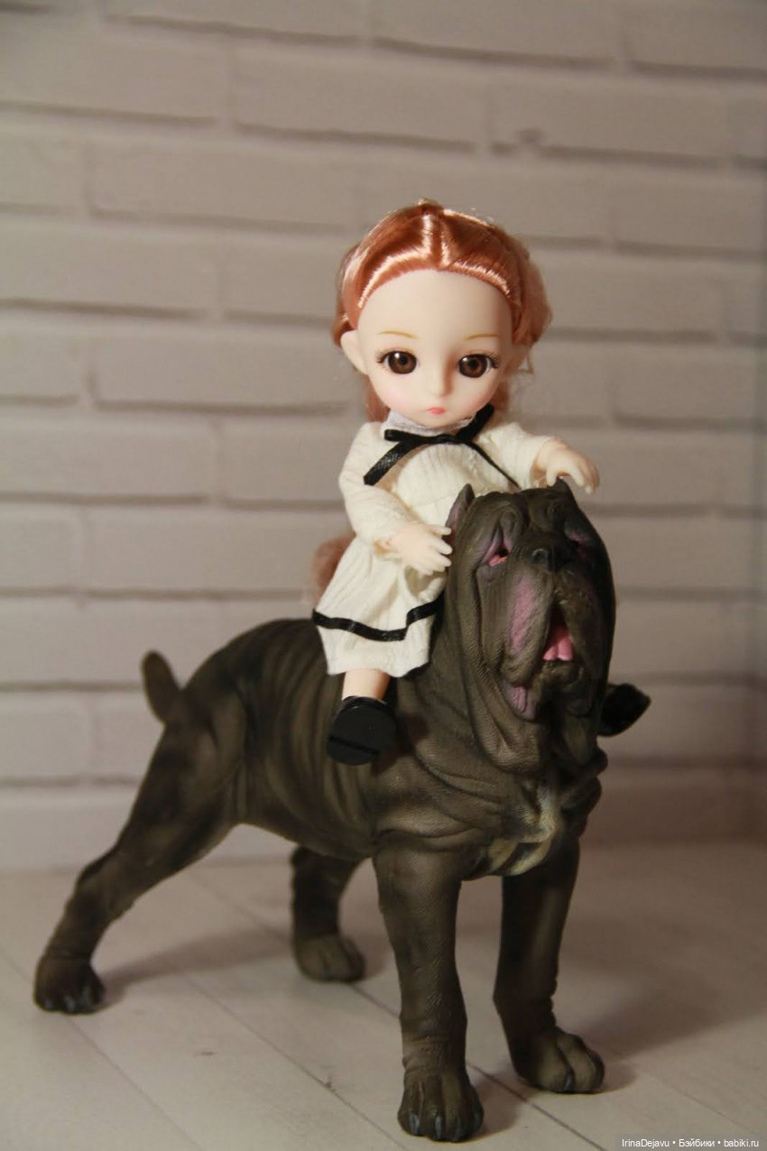 Питомцы. Или кто кого выбирает