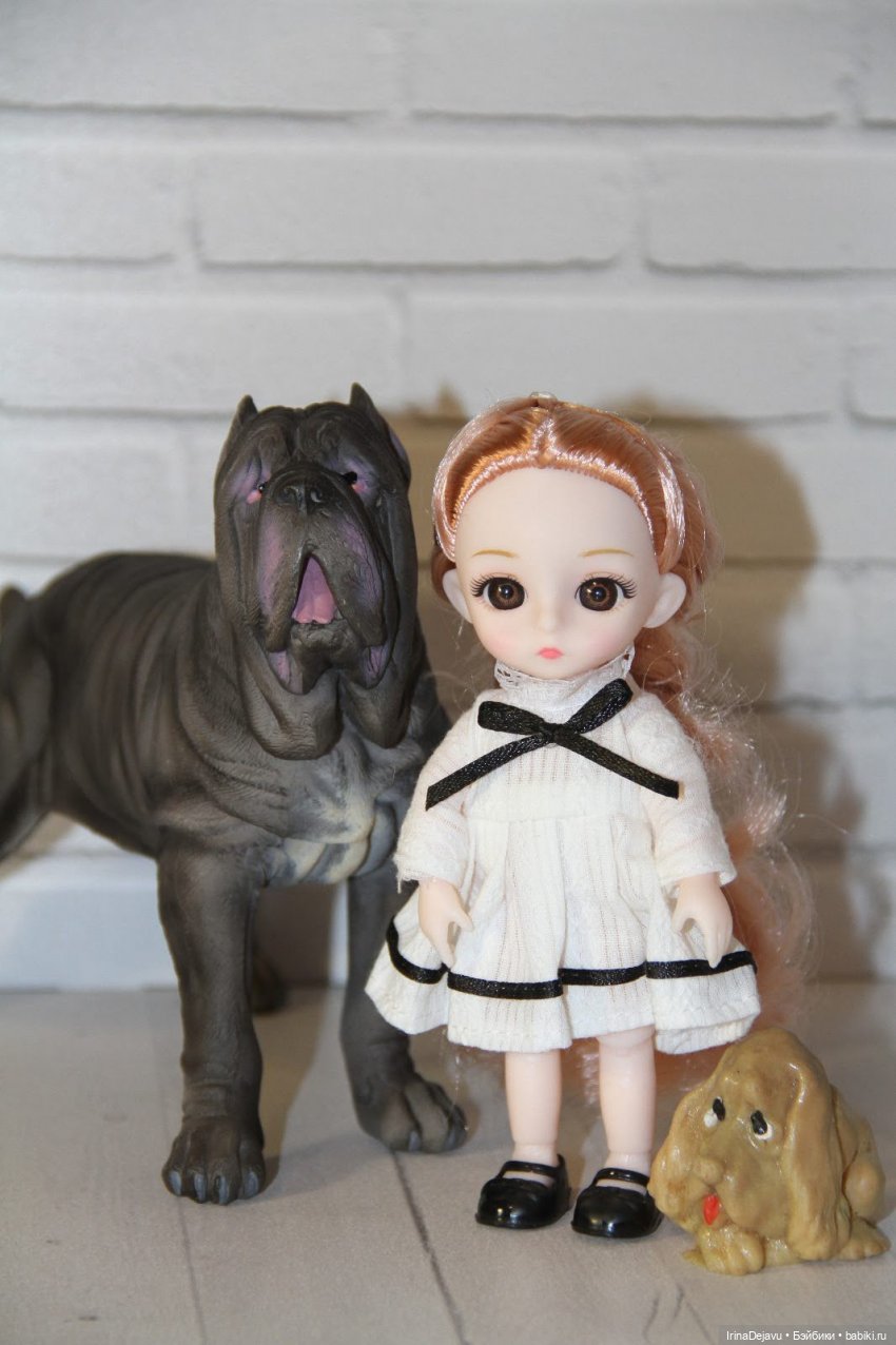 Питомцы. Или кто кого выбирает