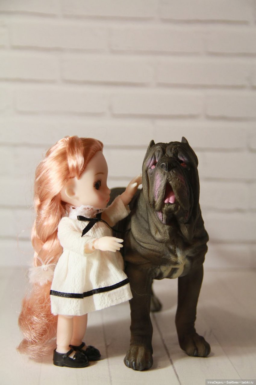 Питомцы. Или кто кого выбирает