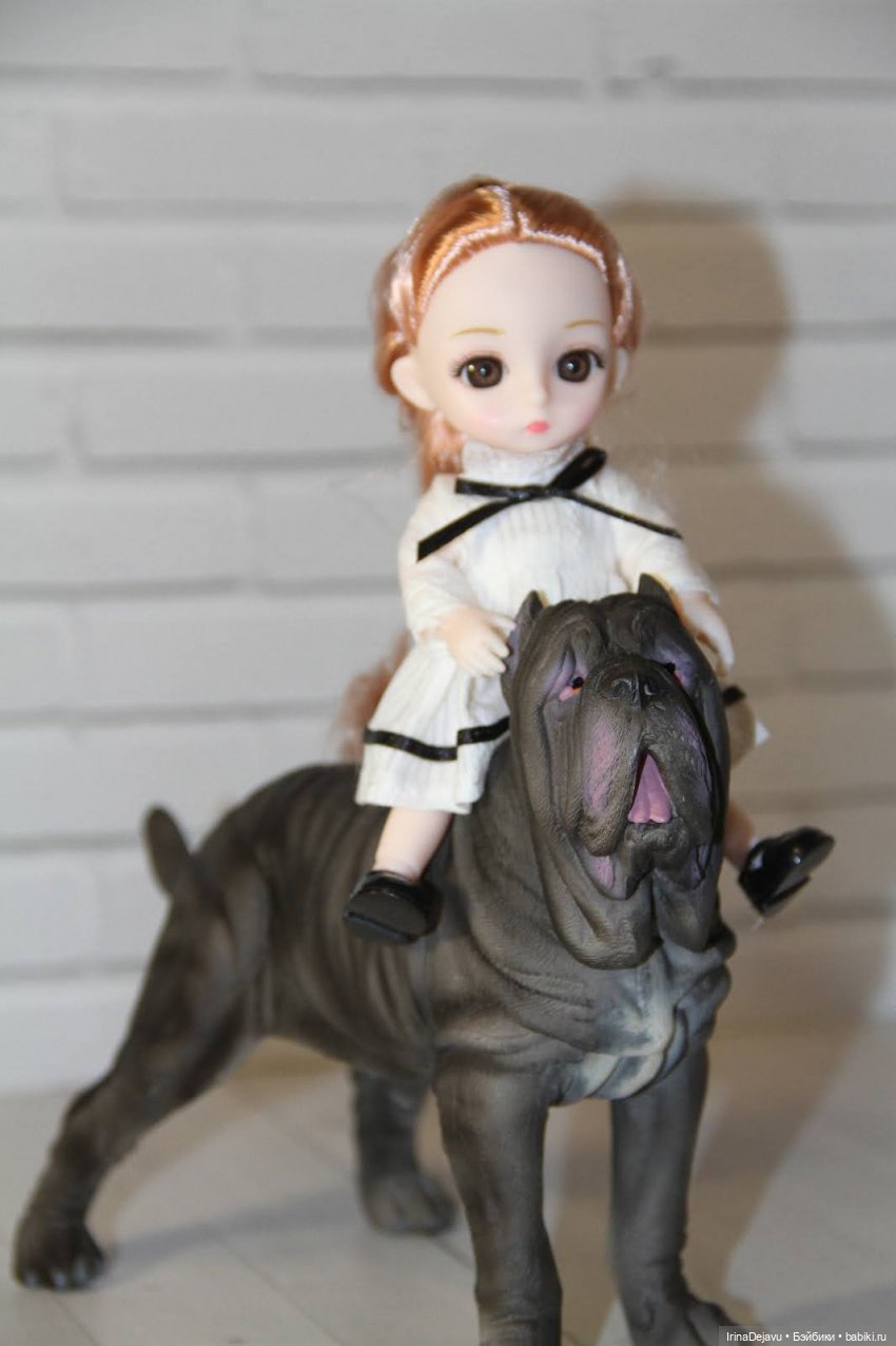 Питомцы. Или кто кого выбирает