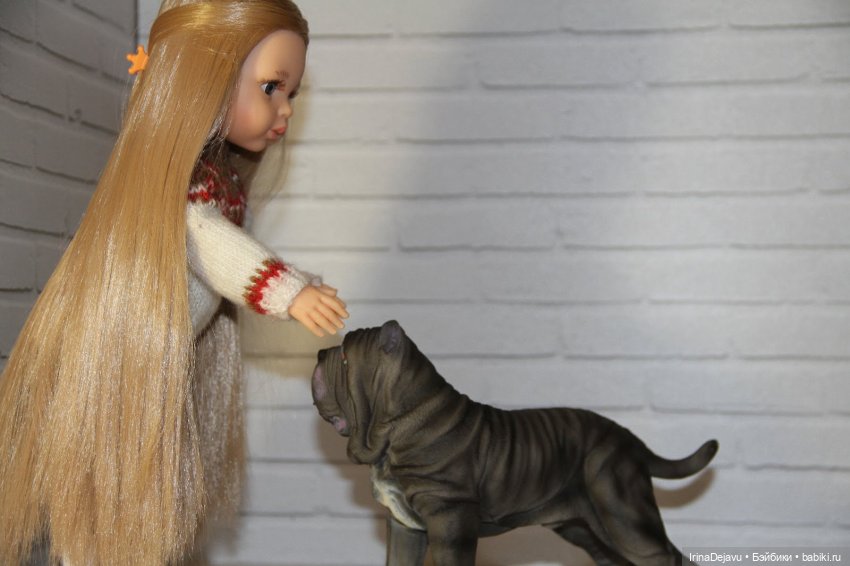 Питомцы. Или кто кого выбирает (фото 3)