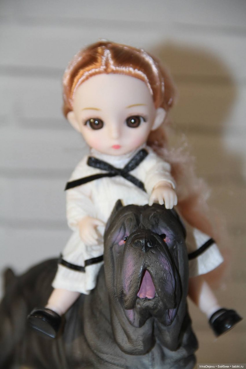 Питомцы. Или кто кого выбирает