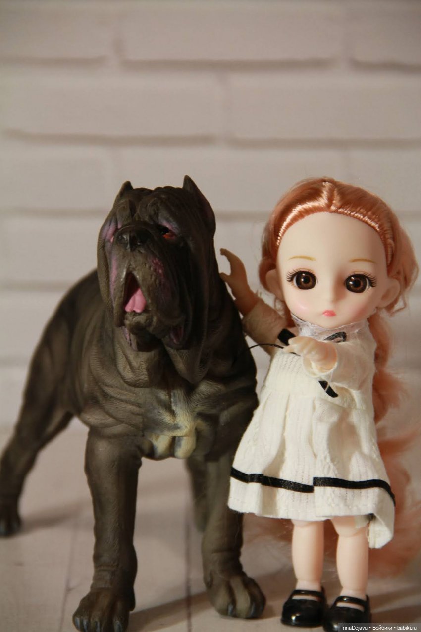 Питомцы. Или кто кого выбирает