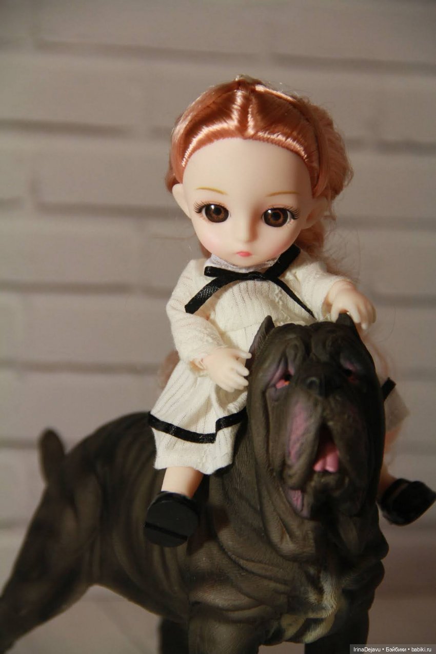 Питомцы. Или кто кого выбирает