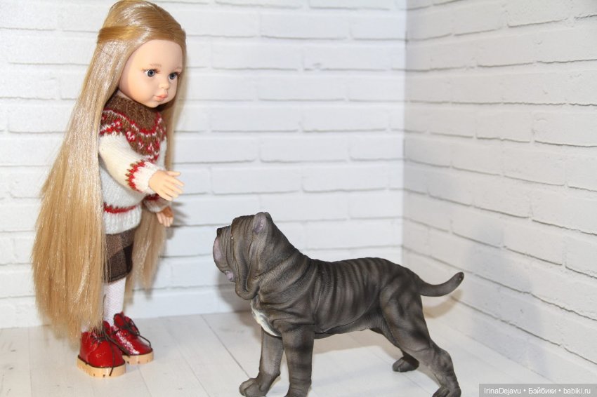 Питомцы. Или кто кого выбирает (фото 2)