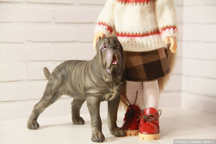 Питомцы. Или кто кого выбирает