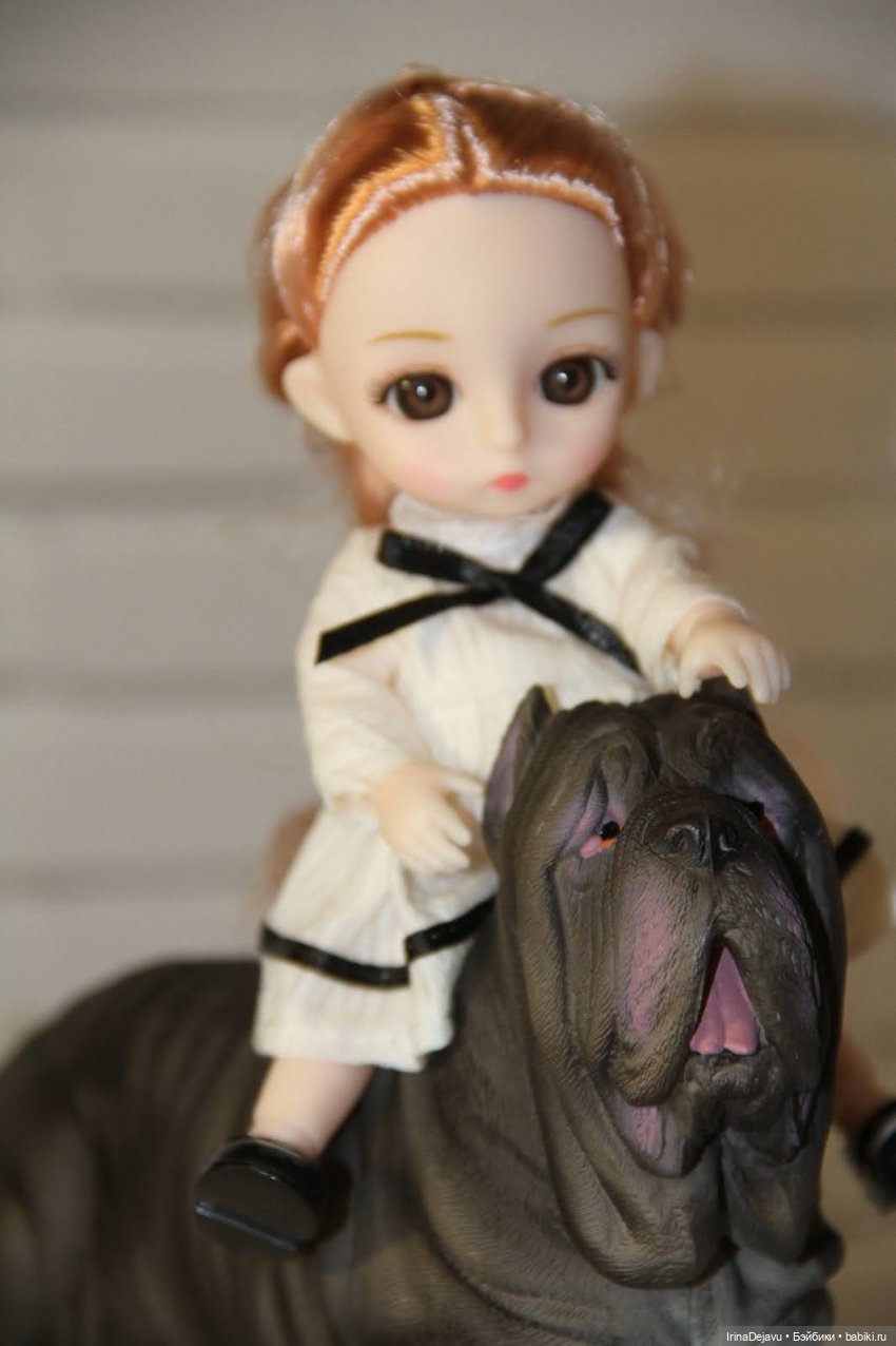 Питомцы. Или кто кого выбирает