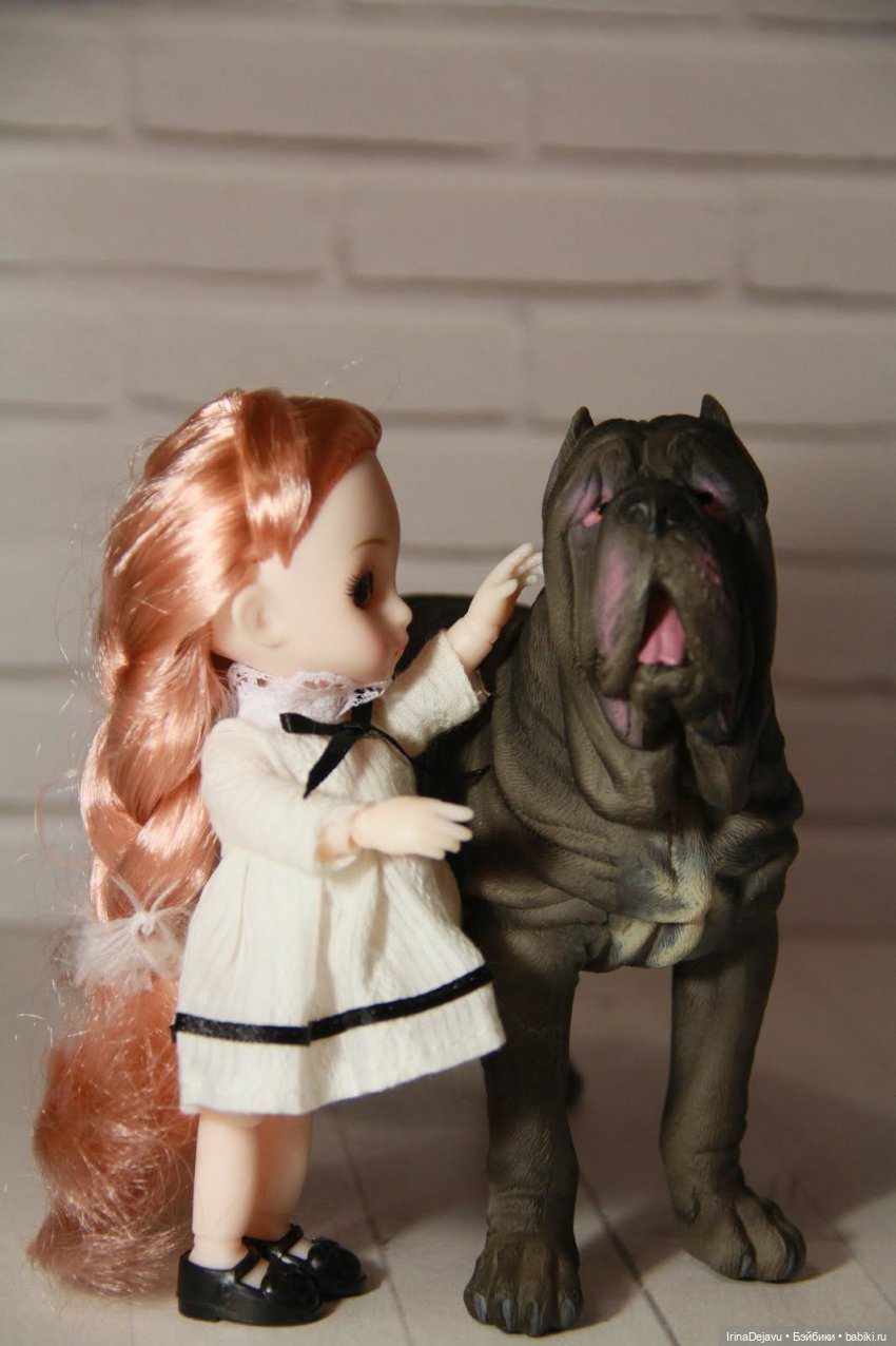 Питомцы. Или кто кого выбирает