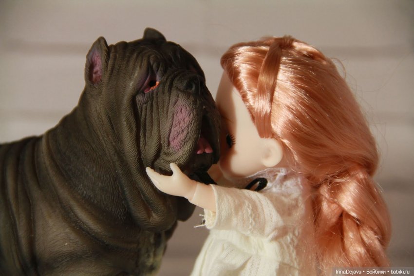 Питомцы. Или кто кого выбирает