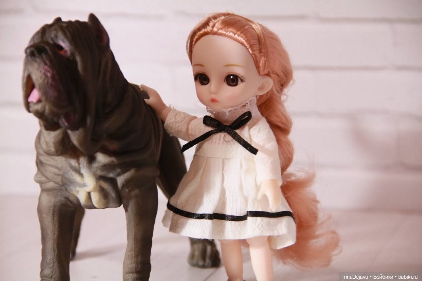 Питомцы. Или кто кого выбирает