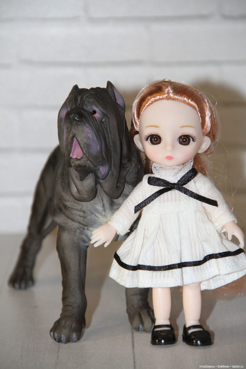 Питомцы. Или кто кого выбирает