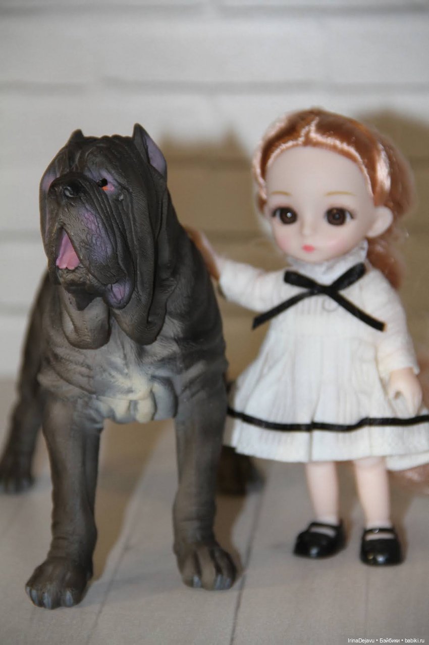 Питомцы. Или кто кого выбирает