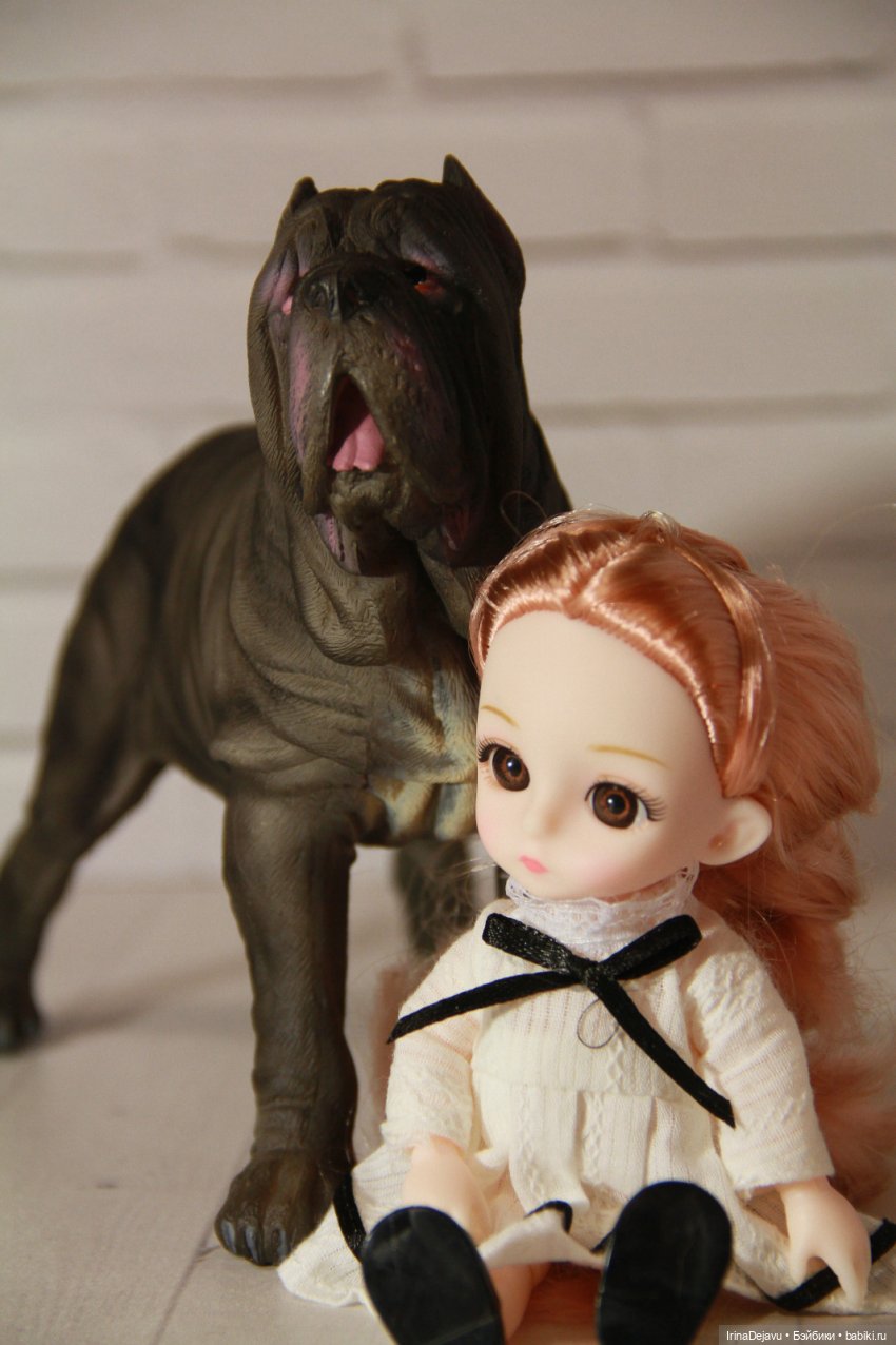 Питомцы. Или кто кого выбирает