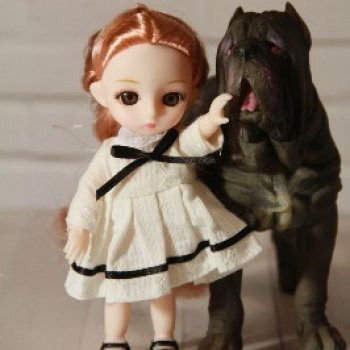 Питомцы. Или кто кого выбирает