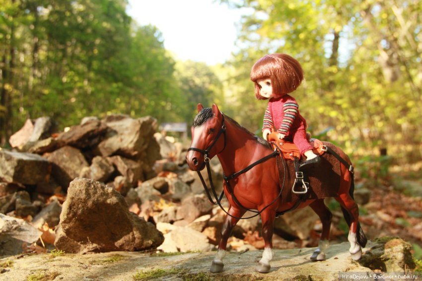 Конная прогулка — Куклы Baboliy (Баболи