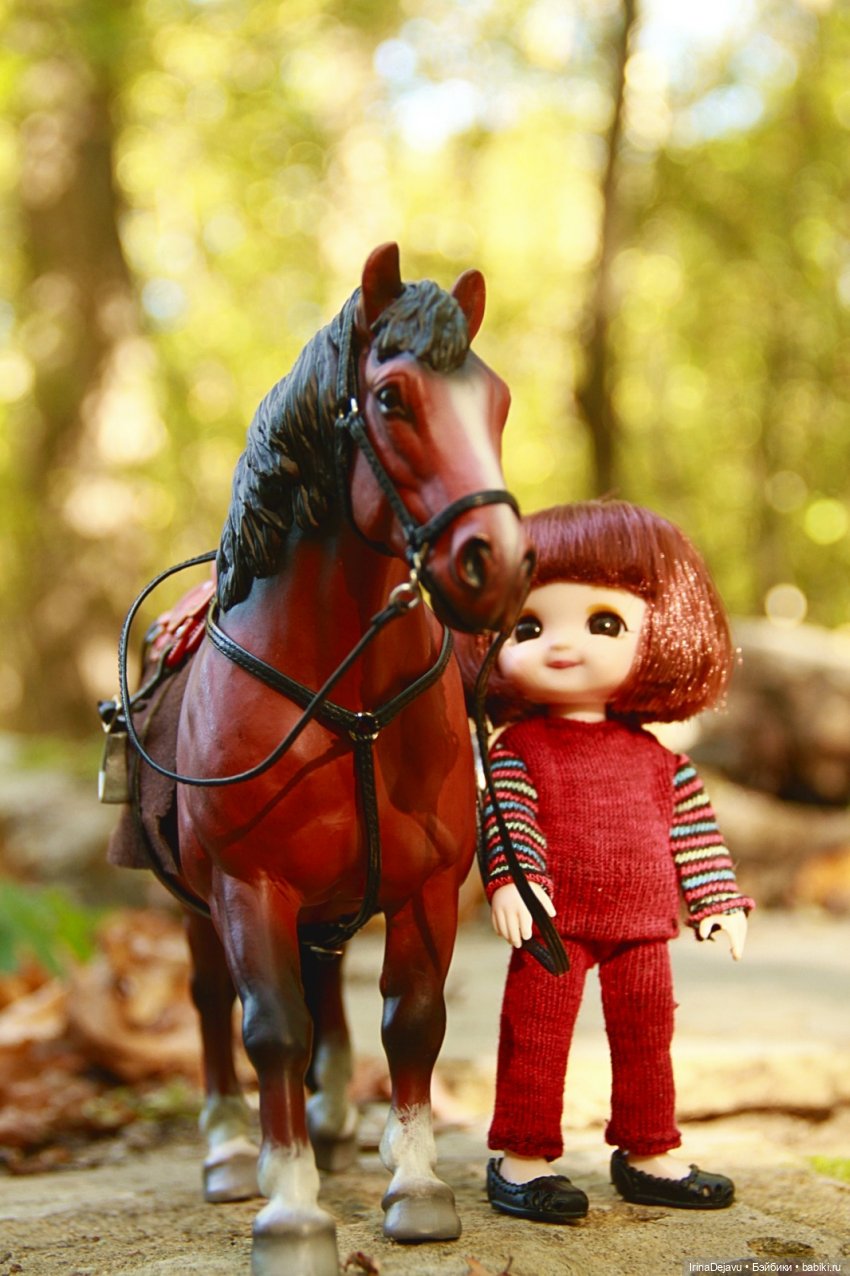 Конная прогулка — Куклы Baboliy (Баболи (фото 8)