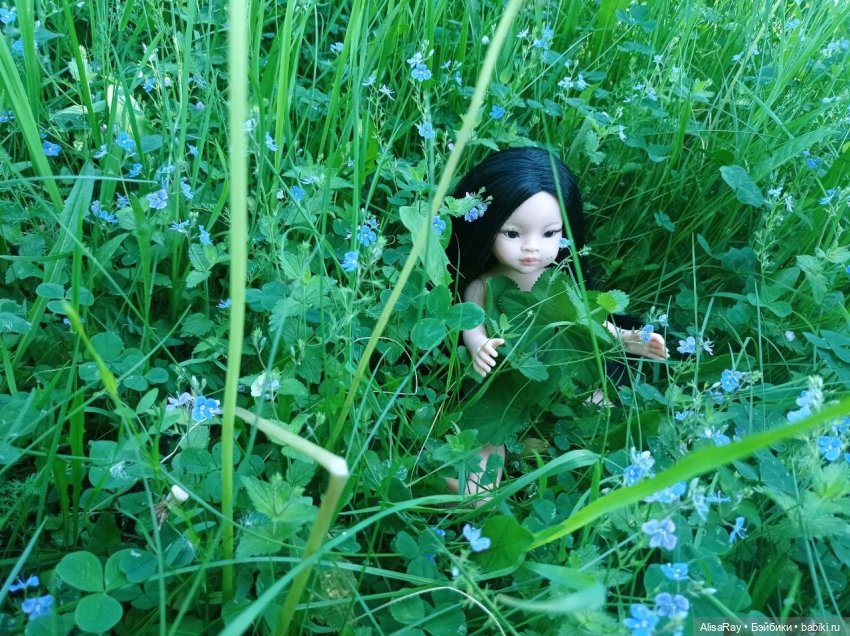 Лето Паолок - подборка красивых кадров ☘🌸