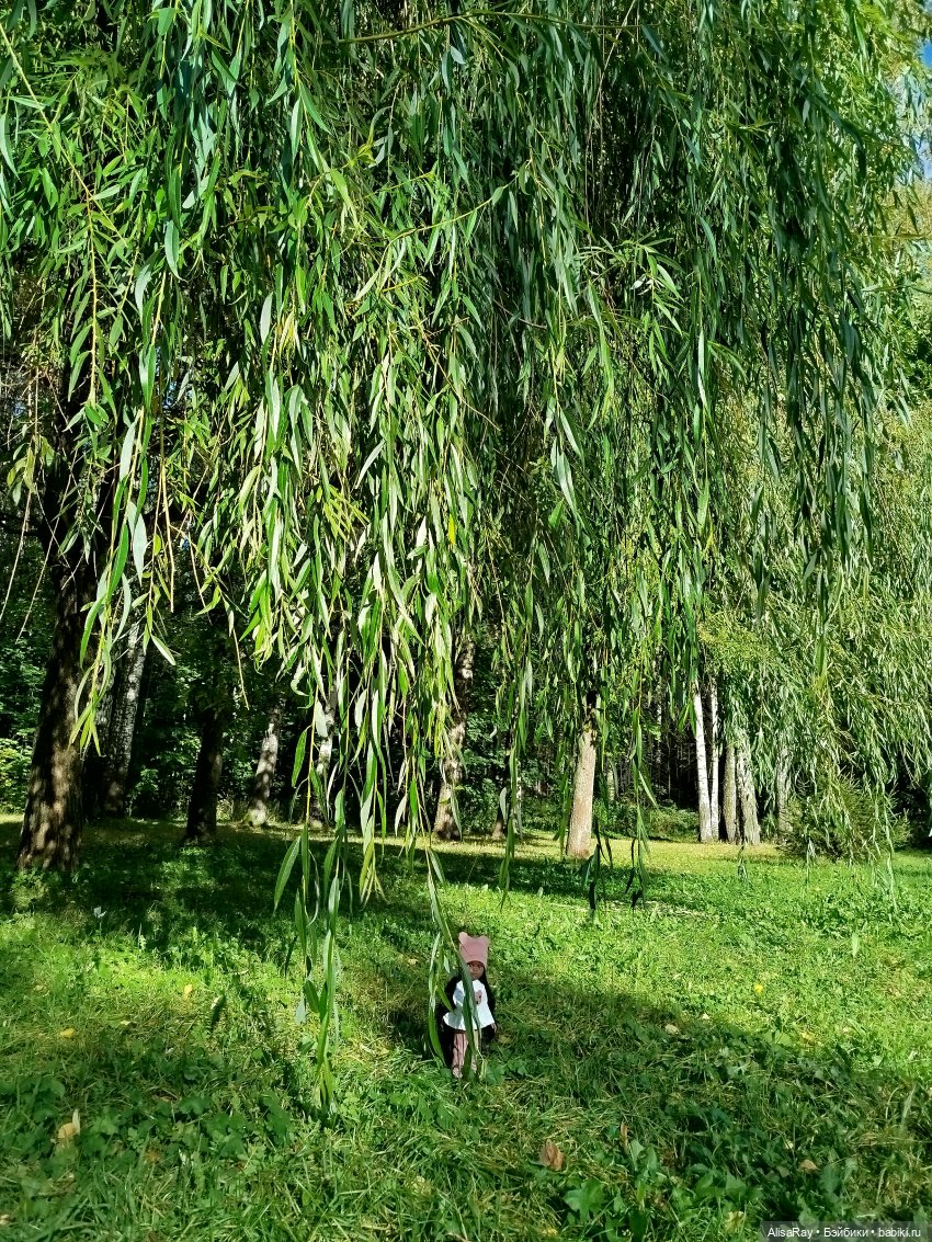 Прогулка шоколадки🍫 — Куклы Paola Reina (Паола Рейна): новинки