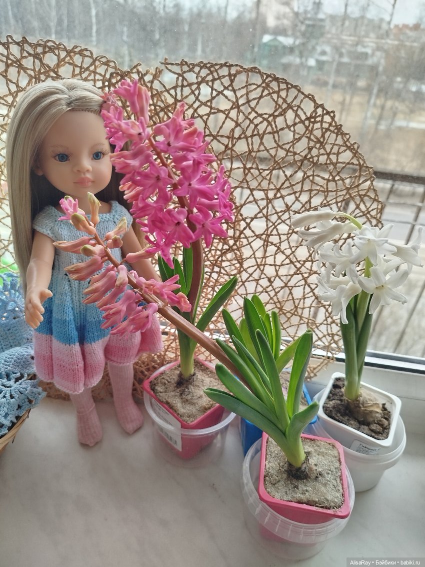 Начало цветения 🌸 | Бэйбики Начало цветения 🌸 — Куклы Paola Reina (Паола Рейна): новинки