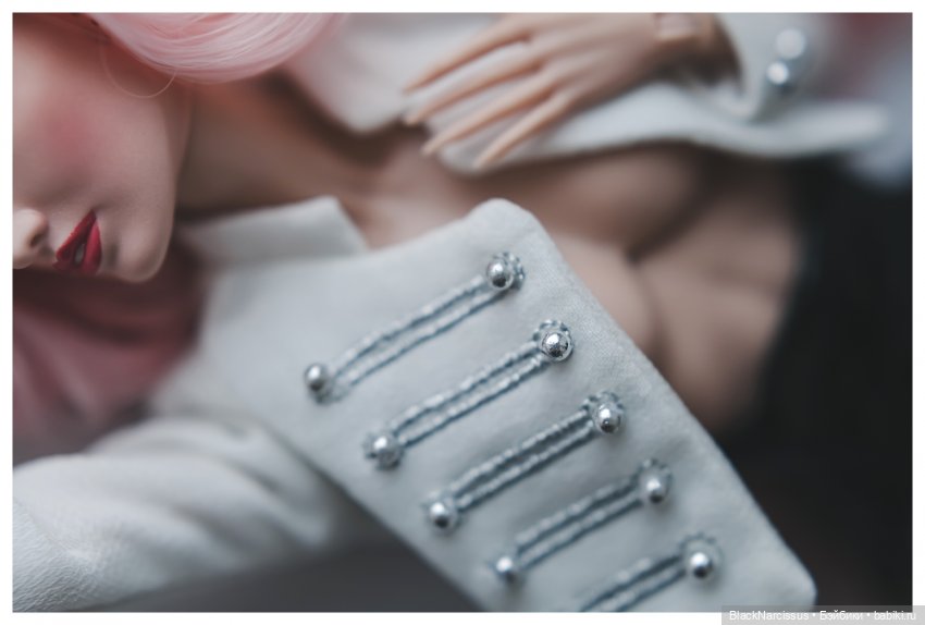 Цинния | Бэйбики Цинния — Фэшн