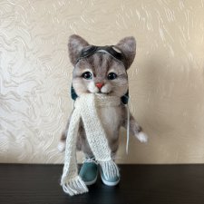 Котик летчик
