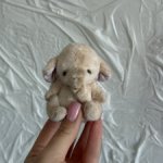 Тедди Слоник