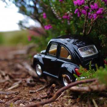 Прогулка без куклы, но с игрушкой