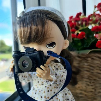 День фотографа