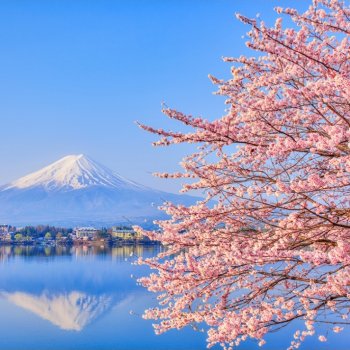 Противоположности притягиваются