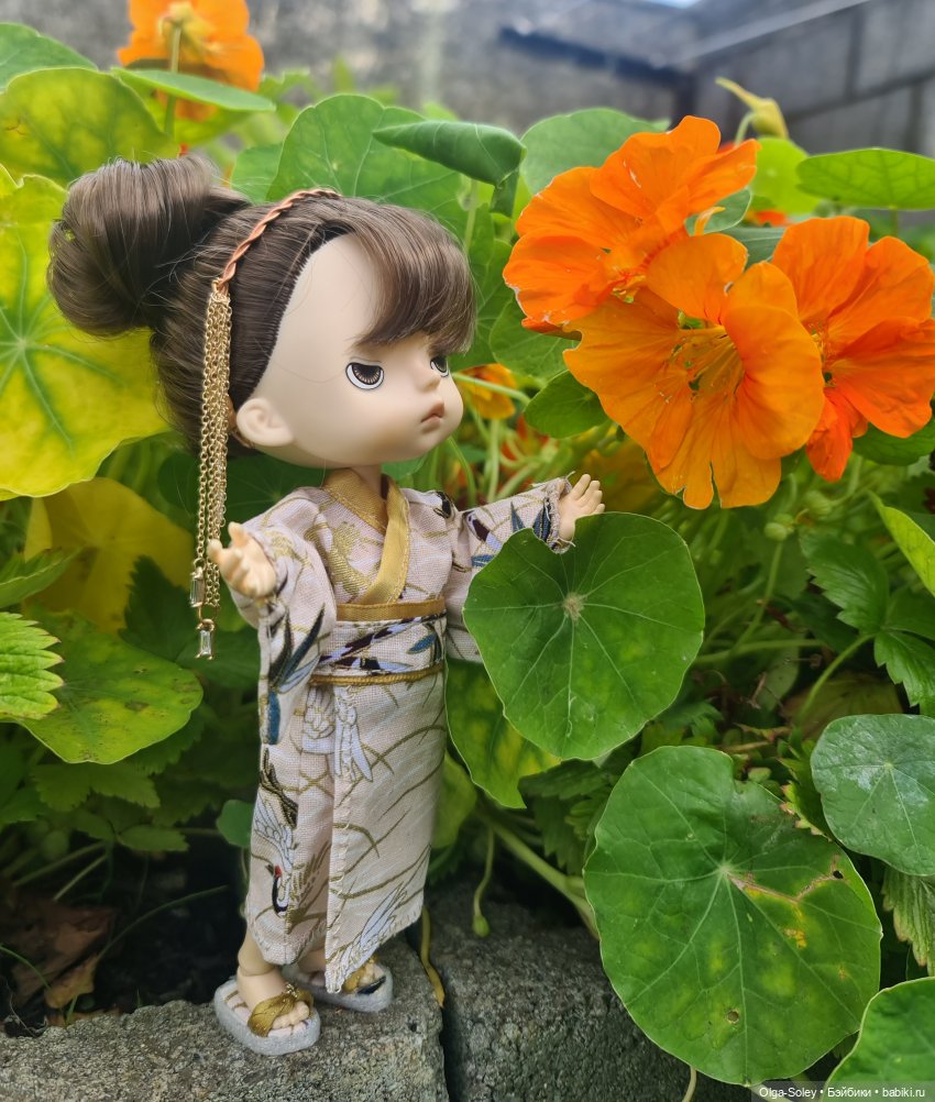 После того как настурции заполонили весь огородик, мы с Бу решили больше их невыращивать (хотя они красивые и яркие), а ограничиться чем-то  менее габаритным.