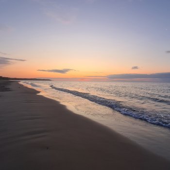 Если дома не сидится...