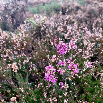 Кто-то к людям, кто-то от них...