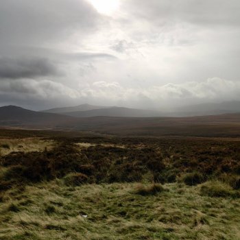 Не бойся, я с тобой!