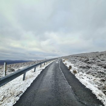 До свиданья старый год!