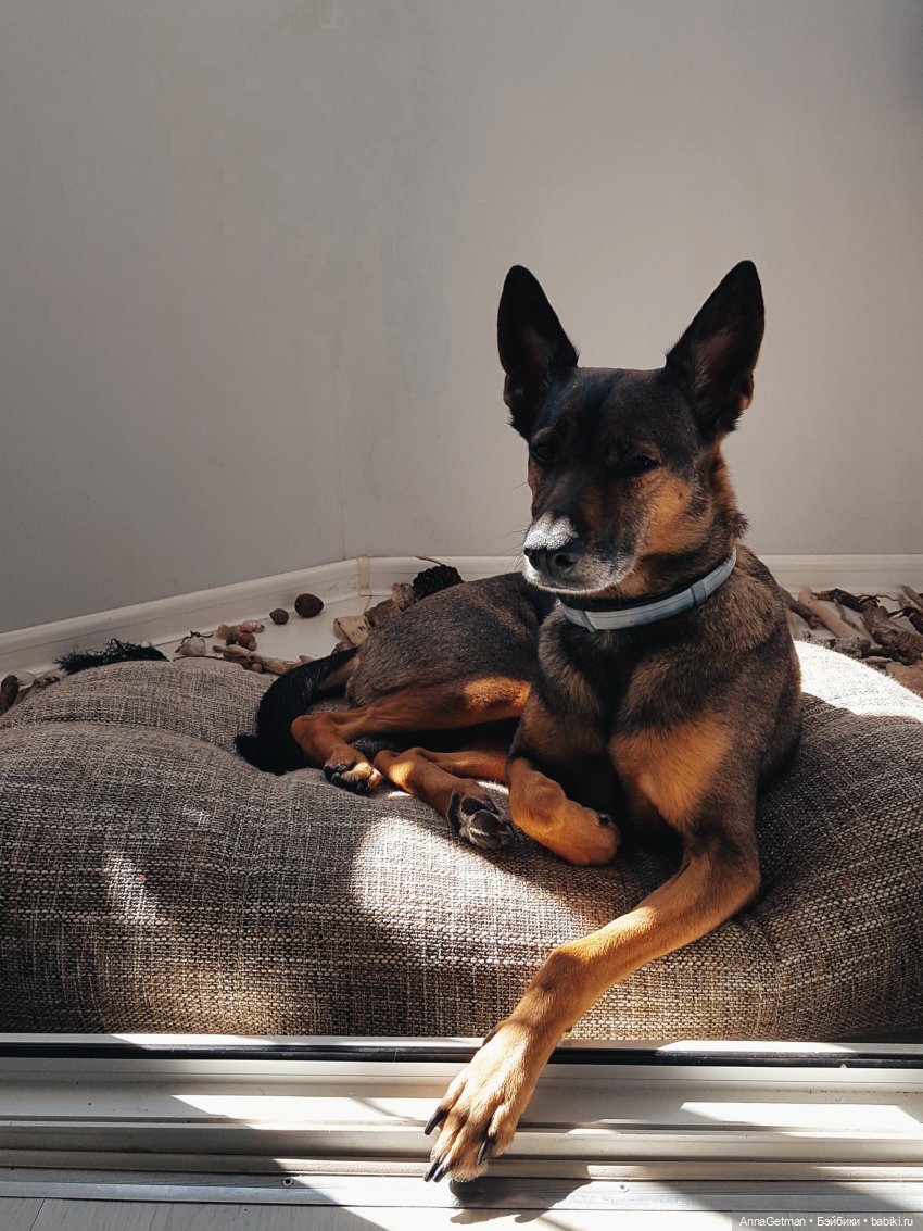 Румбокс-кроватка. Роскошное спальное место с удобствами. Синий и Розовый