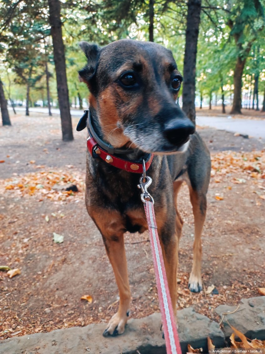 Спальня юной барышни. Миниатюрный кукольный домик масштаба 1/12