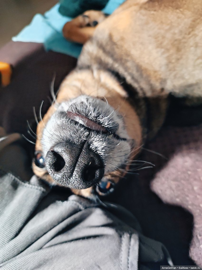 Домик маленького коллекционера