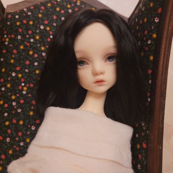 Белла, новенькая