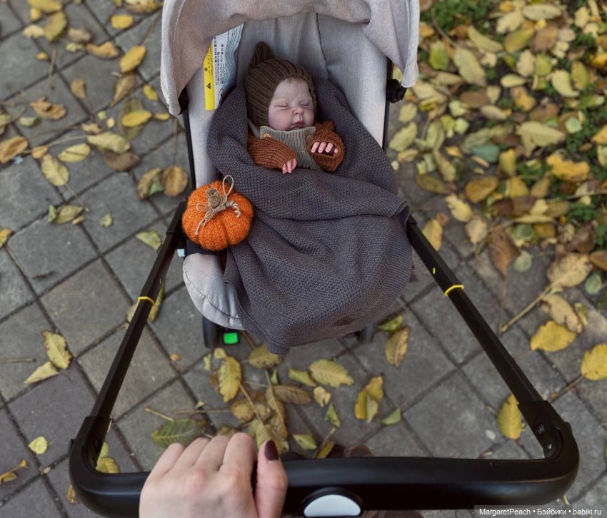 🍂Осення прогулочка с двумя реборнами✨