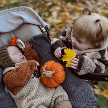 🍂Осення прогулочка с двумя реборнами✨