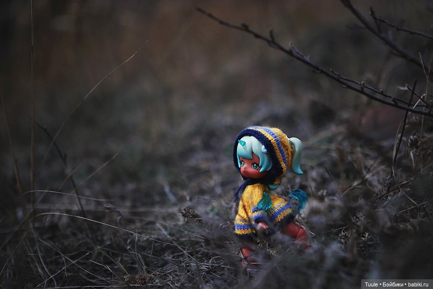 Прогулка перед бурей. Сон-трава на обрыве (фото 7)